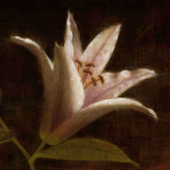 Floral for JAHRRIESNGE flowers lpf09818 Floral JAHRRIESNGE for flowers lpf09818