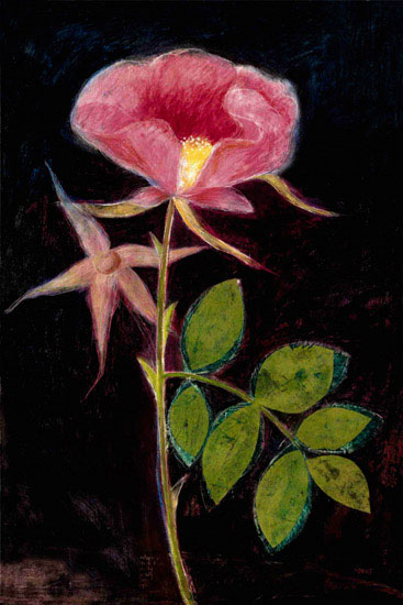 Floral for JAHRRIESNGE flowers lpf09828 Floral JAHRRIESNGE for flowers lpf09828