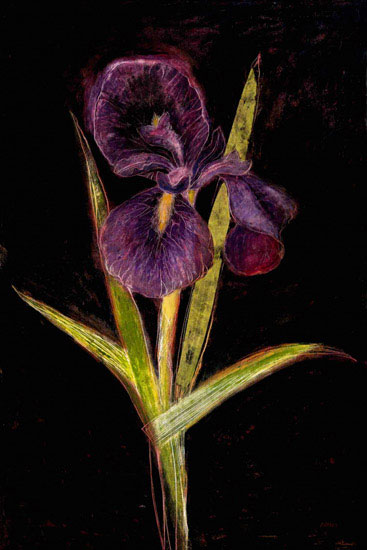 Floral for JAHRRIESNGE flowers lpf09830 Floral JAHRRIESNGE for flowers lpf09830