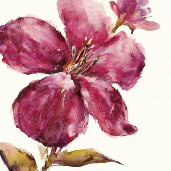 Floral for JAHRRIESNGE flowers lpf09838 Floral JAHRRIESNGE for flowers lpf09838