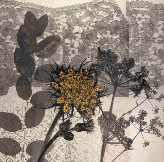 Floral for JAHRRIESNGE flowers lpf09865 Floral JAHRRIESNGE for flowers lpf09865