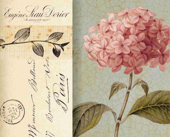 Floral for JAHRRIESNGE flowers lpf09924 Floral JAHRRIESNGE for flowers lpf09924