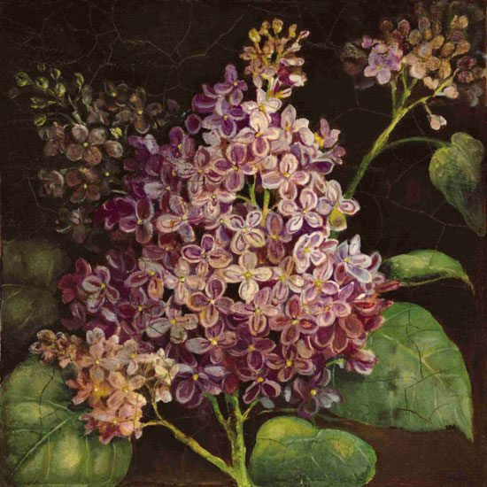 Floral for JAHRRIESNGE flowers lpf09942 Floral JAHRRIESNGE for flowers lpf09942