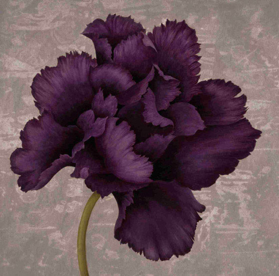 Floral for JAHRRIESNGE flowers lpf09996 Floral JAHRRIESNGE for flowers lpf09996