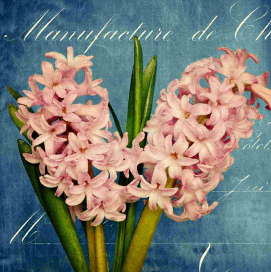 Floral for JAHRRIESNGE flowers lpf10017 Floral JAHRRIESNGE for flowers lpf10017