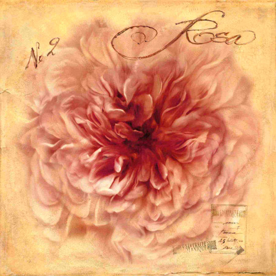 Floral for JAHRRIESNGE flowers lpf10125 Floral JAHRRIESNGE for flowers lpf10125