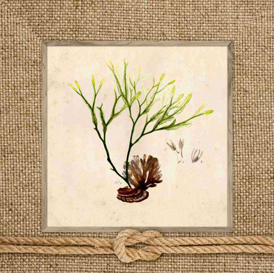 Floral for JAHRRIESNGE flowers lpf10167 Floral JAHRRIESNGE for flowers lpf10167