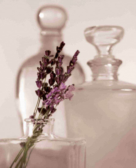 Floral for JAHRRIESNGE flowers lpf10207 Floral JAHRRIESNGE for flowers lpf10207