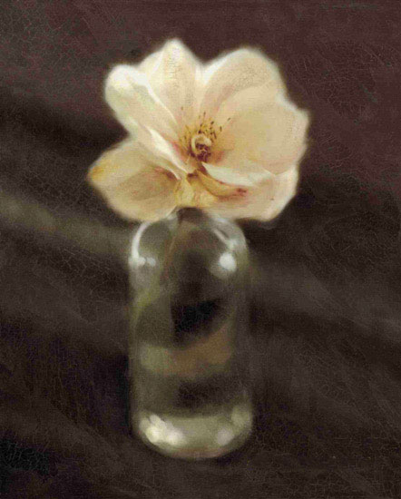 Floral for JAHRRIESNGE flowers lpf10236 Floral JAHRRIESNGE for flowers lpf10236