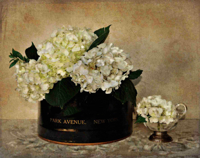 Floral for JAHRRIESNGE flowers lpf10247 Floral JAHRRIESNGE for flowers lpf10247