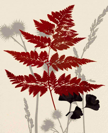 Floral for JAHRRIESNGE leaves lpf10283 Floral JAHRRIESNGE for leaves lpf10283