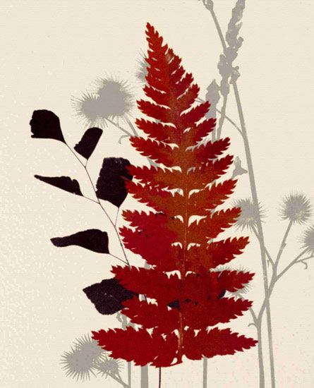 Floral for JAHRRIESNGE leaves lpf10284 Floral JAHRRIESNGE for leaves lpf10284