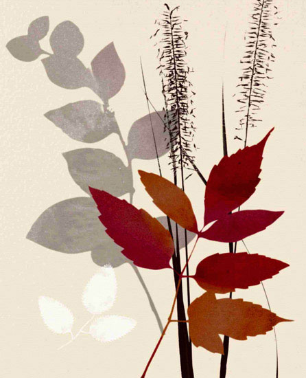 Floral for JAHRRIESNGE leaves lpf10286 Floral JAHRRIESNGE for leaves lpf10286