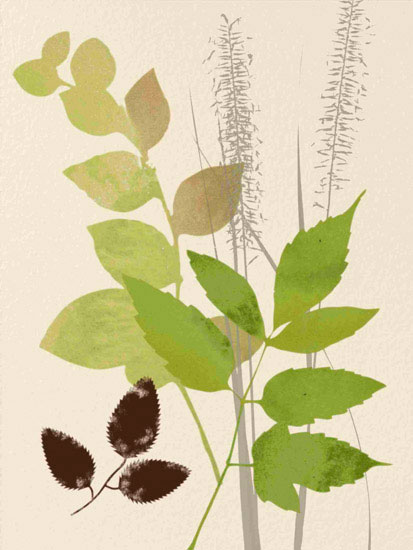 Floral for JAHRRIESNGE leaves lpf10289 Floral JAHRRIESNGE for leaves lpf10289
