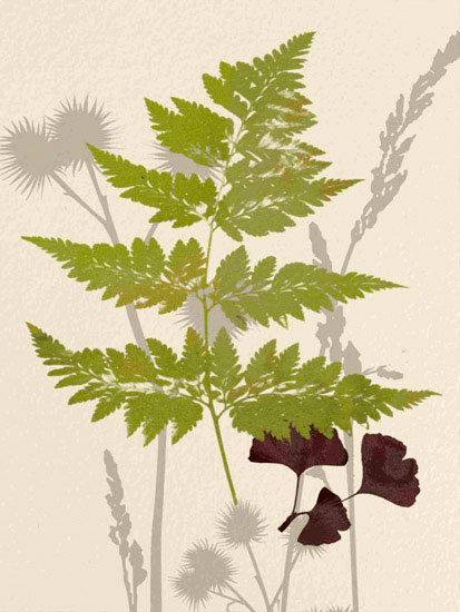 Floral for JAHRRIESNGE leaves lpf10290 Floral JAHRRIESNGE for leaves lpf10290
