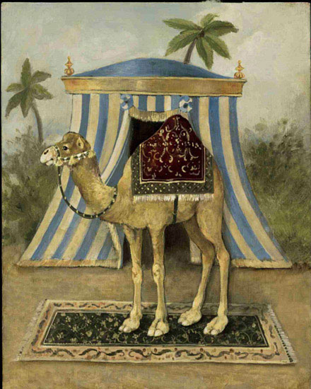 Animals for Jahrriesnge camel lpf10521 Animals Jahrriesnge for camel lpf10521