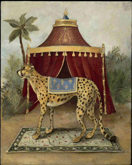 Animals for Jahrriesnge cheetah lpf10522 Animals Jahrriesnge for cheetah lpf10522