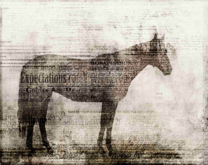 Animals for Jahrriesnge horse lpf10527 Animals Jahrriesnge for horse lpf10527