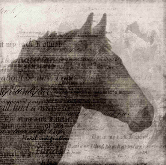 Portrait for Jahrriesnge horse lpf10529 Portrait Jahrriesnge for horse lpf10529