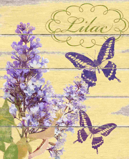 Animals for Jahrriesnge butterfly lpf10553 Animals Jahrriesnge for butterfly lpf10553