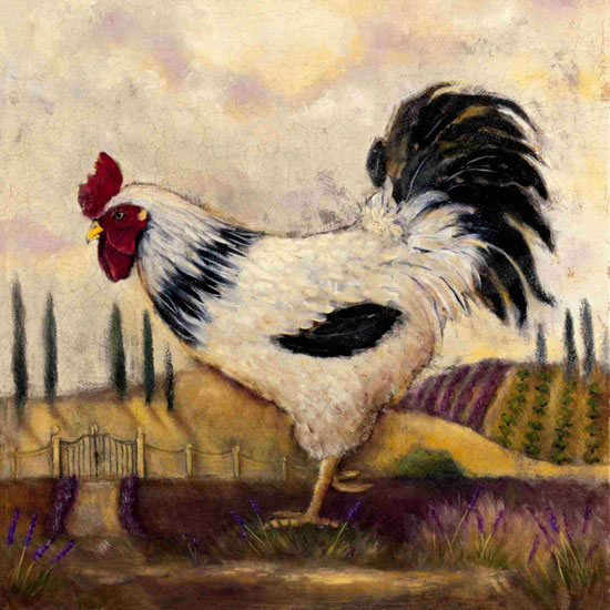 Animals for Jahrriesnge cock lpf10562 Animals Jahrriesnge for cock lpf10562