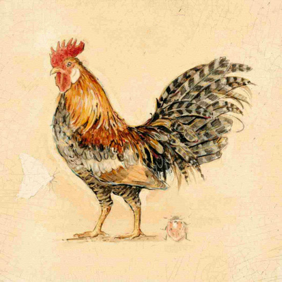 Animals for Jahrriesnge cock lpf10563 Animals Jahrriesnge for cock lpf10563