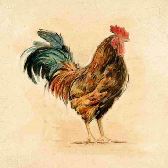 Animals for Jahrriesnge cock lpf10564 Animals Jahrriesnge for cock lpf10564