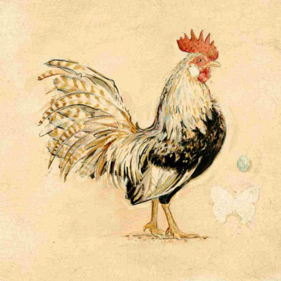 Animals for Jahrriesnge cock lpf10565 Animals Jahrriesnge for cock lpf10565