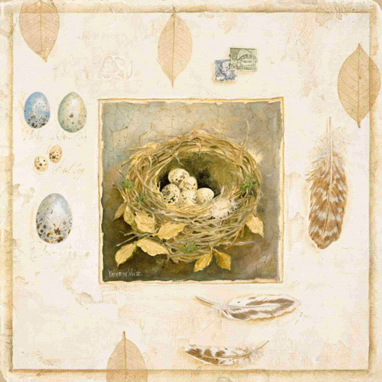 Animals for Jahrriesnge eggs lpf10576 Animals Jahrriesnge for eggs lpf10576