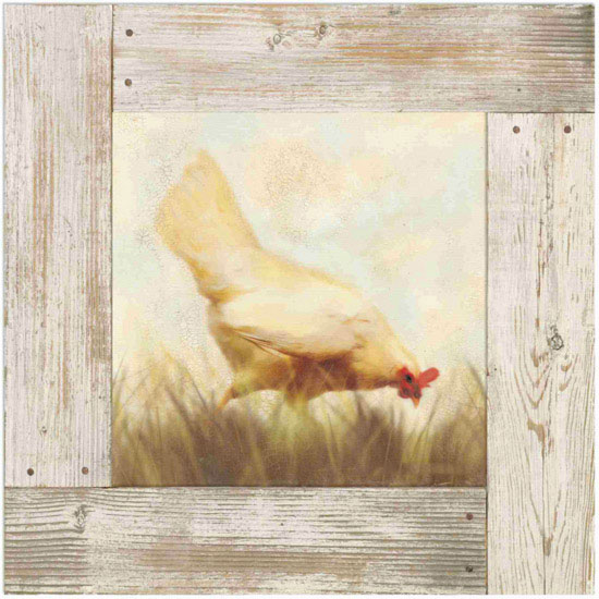 Animals for Jahrriesnge hen lpf10582 Animals Jahrriesnge for hen lpf10582