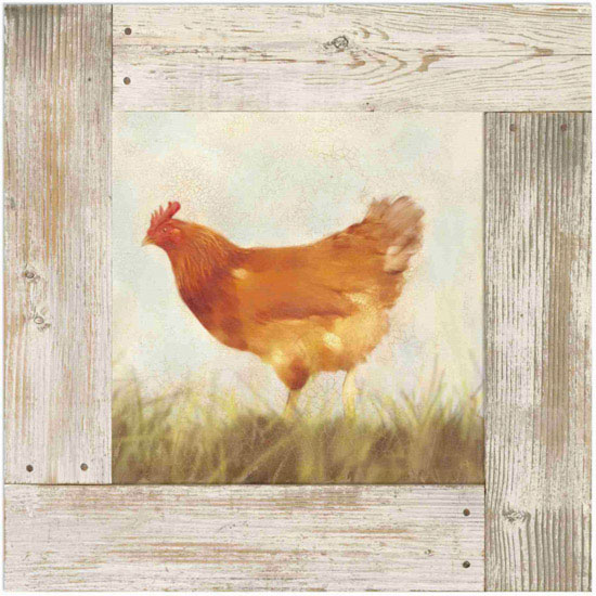 Animals for Jahrriesnge hen lpf10584 Animals Jahrriesnge for hen lpf10584
