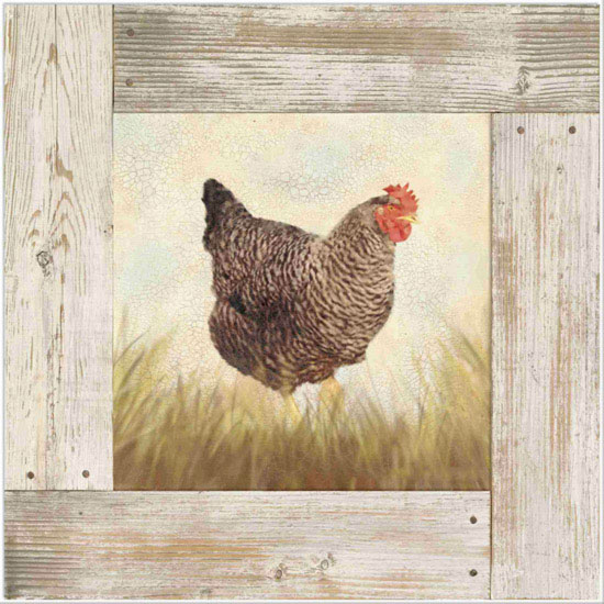 Animals for Jahrriesnge hen lpf10585 Animals Jahrriesnge for hen lpf10585