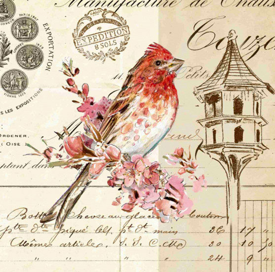 Animals for Jahrriesnge bird lpf10592 Animals Jahrriesnge for bird lpf10592