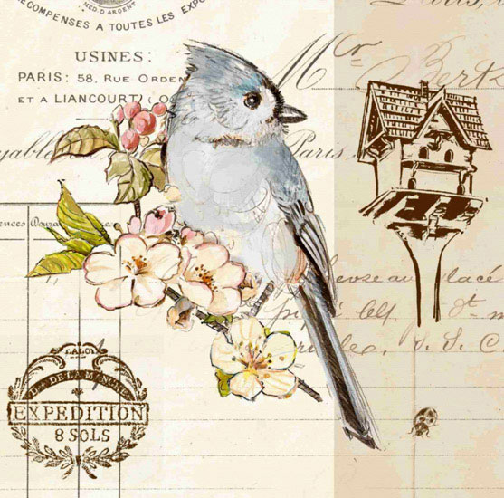 Animals for Jahrriesnge bird lpf10595 Animals Jahrriesnge for bird lpf10595