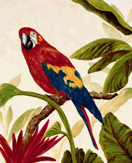 Animals for Jahrriesnge macaw lpf10597 Animals Jahrriesnge for macaw lpf10597