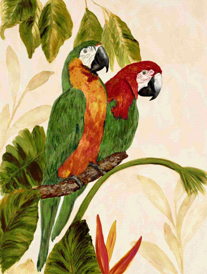 Animals for Jahrriesnge macaw lpf10598 Animals Jahrriesnge for macaw lpf10598