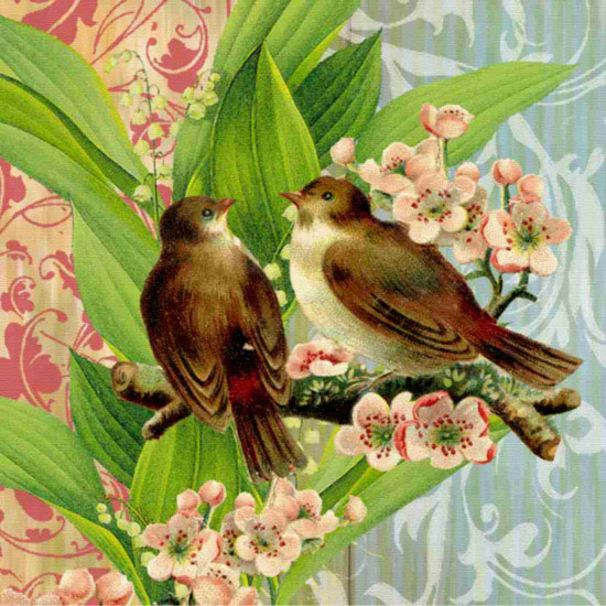 Animals for Jahrriesnge birds lpf10605 Animals Jahrriesnge for birds lpf10605