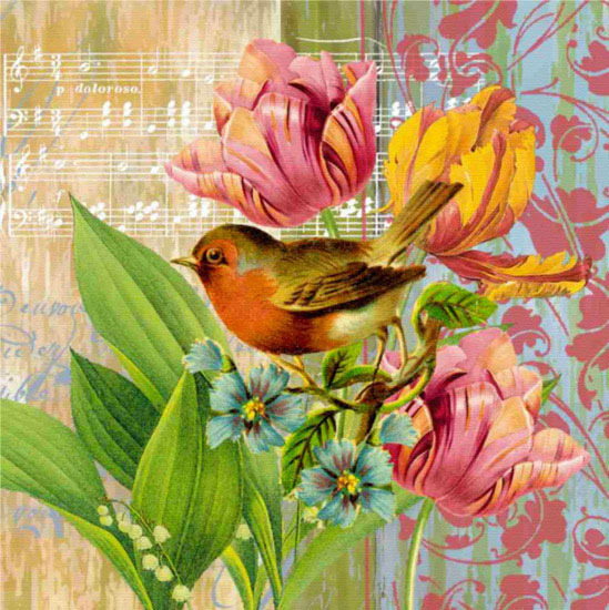 Animals for Jahrriesnge birds lpf10606 Animals Jahrriesnge for birds lpf10606