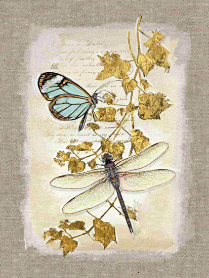Animals for Jahrriesnge butterfly lpf10610 Animals Jahrriesnge for butterfly lpf10610
