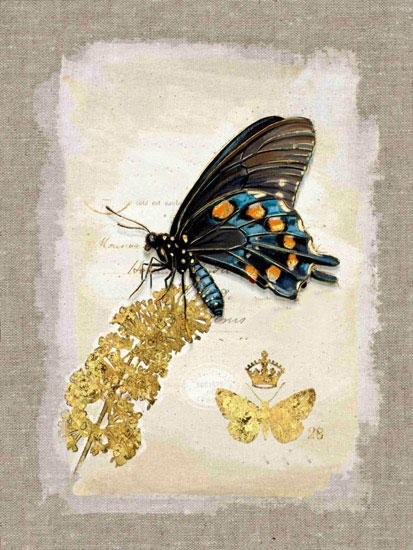 Animals for Jahrriesnge butterfly lpf10611 Animals Jahrriesnge for butterfly lpf10611