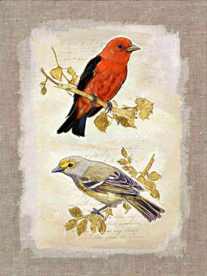 Animals for Jahrriesnge bird lpf10612 Animals Jahrriesnge for bird lpf10612