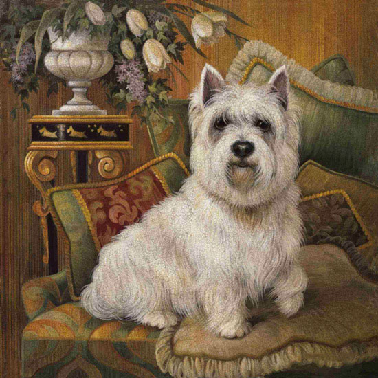 Animals for Jahrriesnge dog lpf10627 Animals Jahrriesnge for dog lpf10627
