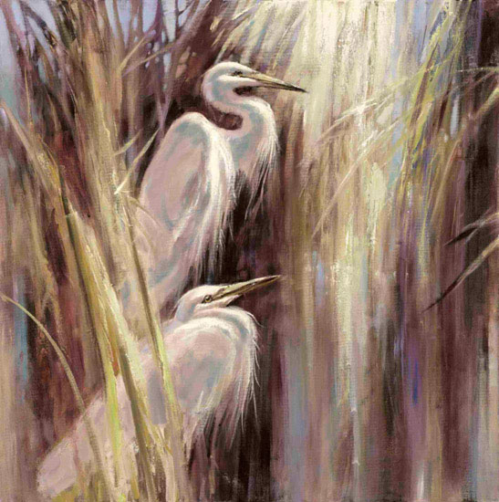 Animals for Jahrriesnge egret lpf10631 Animals Jahrriesnge for egret lpf10631