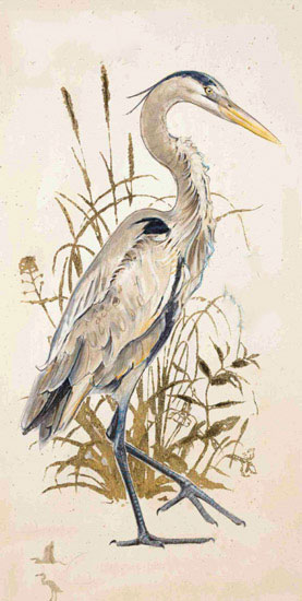 Animals for Jahrriesnge heron lpf10633 Animals Jahrriesnge for heron lpf10633