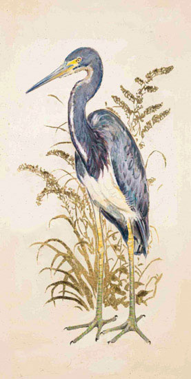 Animals for Jahrriesnge tricolor heron lpf10634 Animals Jahrriesnge for tricolor heron lpf10634