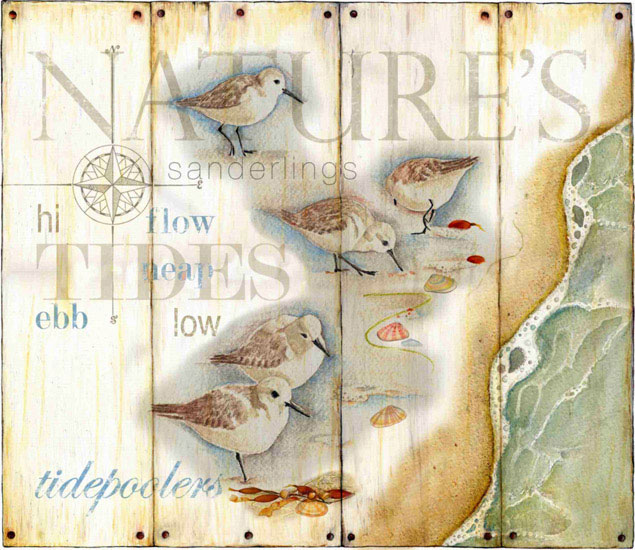 Animals for Jahrriesnge birds lpf10635 Animals Jahrriesnge for birds lpf10635
