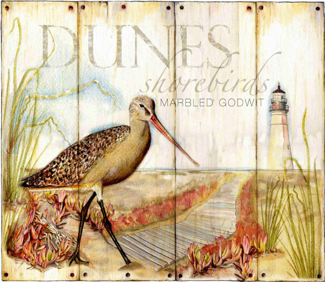 Animals for Jahrriesnge toucan lpf10637 Animals Jahrriesnge for toucan lpf10637