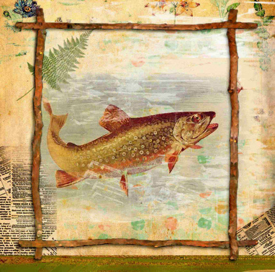 Animals for Jahrriesnge fish lpf10639 Animals Jahrriesnge for fish lpf10639