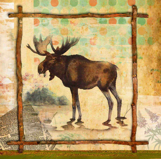 Animals for Jahrriesnge moose lpf10640 Animals Jahrriesnge for moose lpf10640