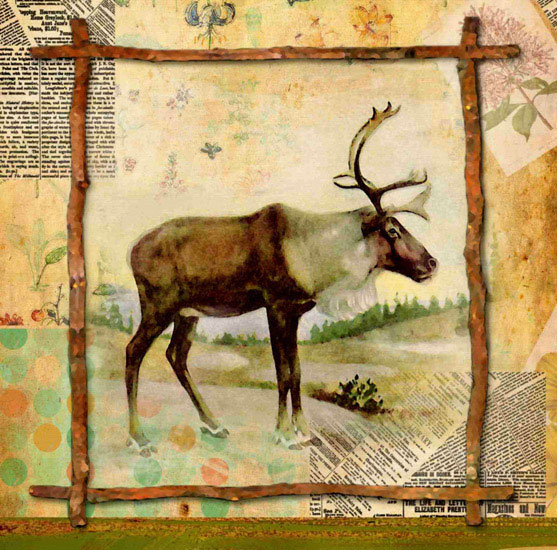 Animals for Jahrriesnge reindeer lpf10641 Animals Jahrriesnge for reindeer lpf10641